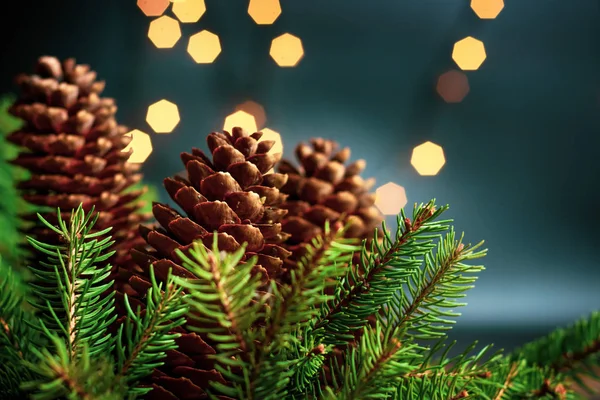 Tannenzapfen und Tannenbaum in festlicher Weihnachtsstimmung — Stockfoto