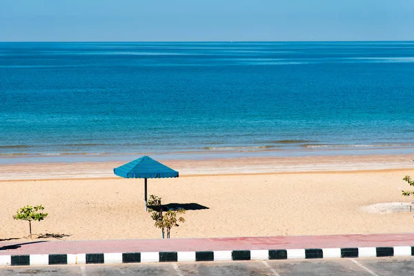 Stranden Flamingo i Ras Al Khaimah, Uae — Stockfoto