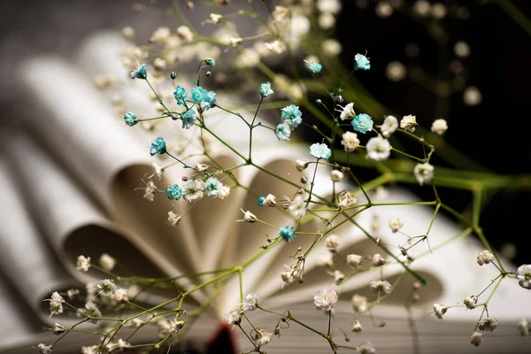Livro com flores close-up resumo — Fotografia de Stock