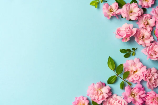 Rózsaszín virágok kék háttér elrendezése másolási hely — Stock Fotó