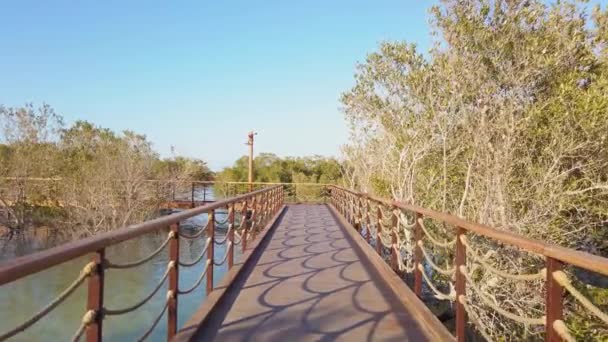 Mangroven Spaziergang Strandpromenade Öffentlicher Park Jubail Insel Abu Dhabi Uae — Stockvideo