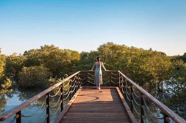 Kobieta Zwiedzanie Mangrove Spacer Nadmorski Park Abu Dhabi Zjednoczone Emiraty — Zdjęcie stockowe