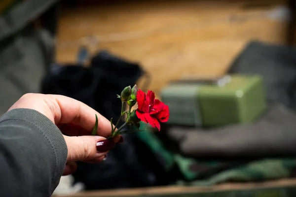 Hand Holding Flower Front Vintage Military Equipment Closeup — Stock Photo, Image