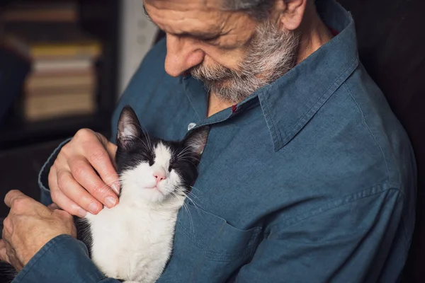 Старший Мужчина Ласкает Кошку Диване Дома — стоковое фото