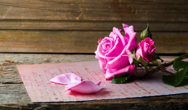 Rózsaszín Rózsa Egy Vintage Papíron Egy Romantikus Levélhez — Stock Fotó