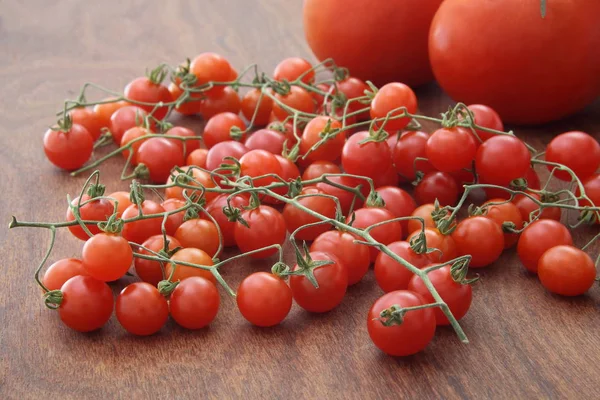 Micro tomate y tomate — Foto de Stock