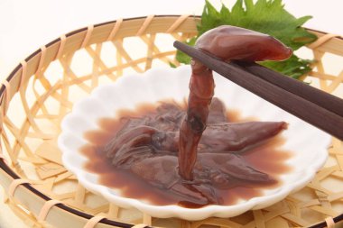  Watasenia, firefly kalamar, Japon yemekleri