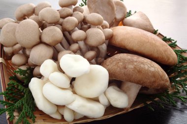 Bambu sepet içinde mantar