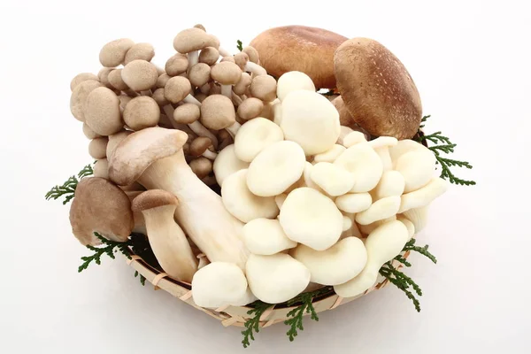 Champignon dans le panier en bambou — Photo