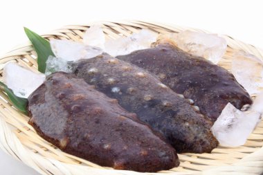 Sea cucumber, Japanese food ingredients clipart