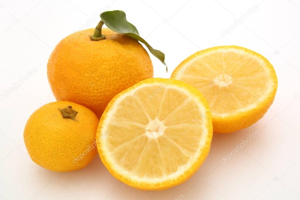 Yuzu aromatic citron