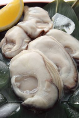 Buz limonlu çiğ istiridye