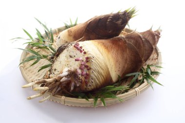 Bambu sürgün, Japon yemekleri taze aldı