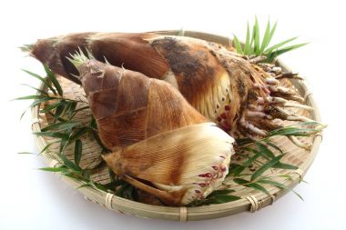 Bambu sürgün, Japon yemekleri taze aldı