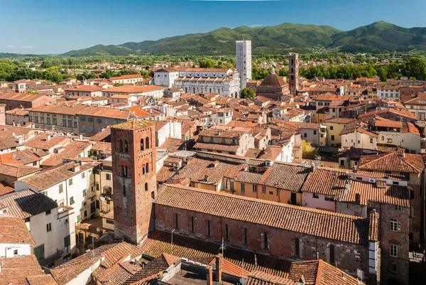 Luchtfoto van Lucca, Toscane, tijdens een zonnige middag; de witte kerk in de achtergrond is de kathedraal — Stockfoto