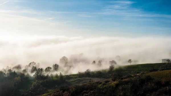 Niebla sobre los árboles en las colinas de Oltrepo 'Pavese, en Italia —  Fotos de Stock