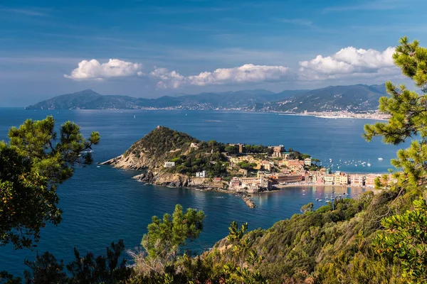 Vista Panorámica Sestri Levante Promontorio Costa Liguria Fondo — Foto de Stock