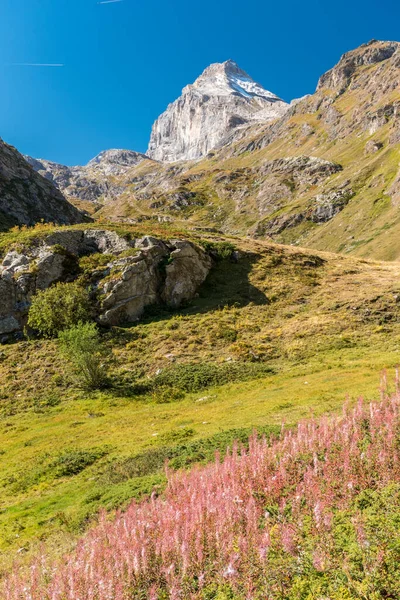 Lado Granta Parey Valle Rhemes Los Alpes — Foto de Stock