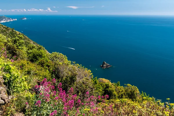 Ακτές Της Λιγουρίας Στην Περιοχή Cinque Terre — Φωτογραφία Αρχείου