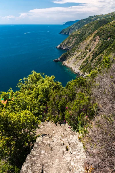 位于Cinque Terre地区的Liguria海岸线 在通往孤立的Monesteroli村的楼梯的前面 — 图库照片