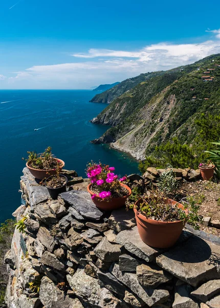 Liguriens Kystlinje Cinque Terre Området Forgrunden Trappen Der Fører Til - Stock-foto