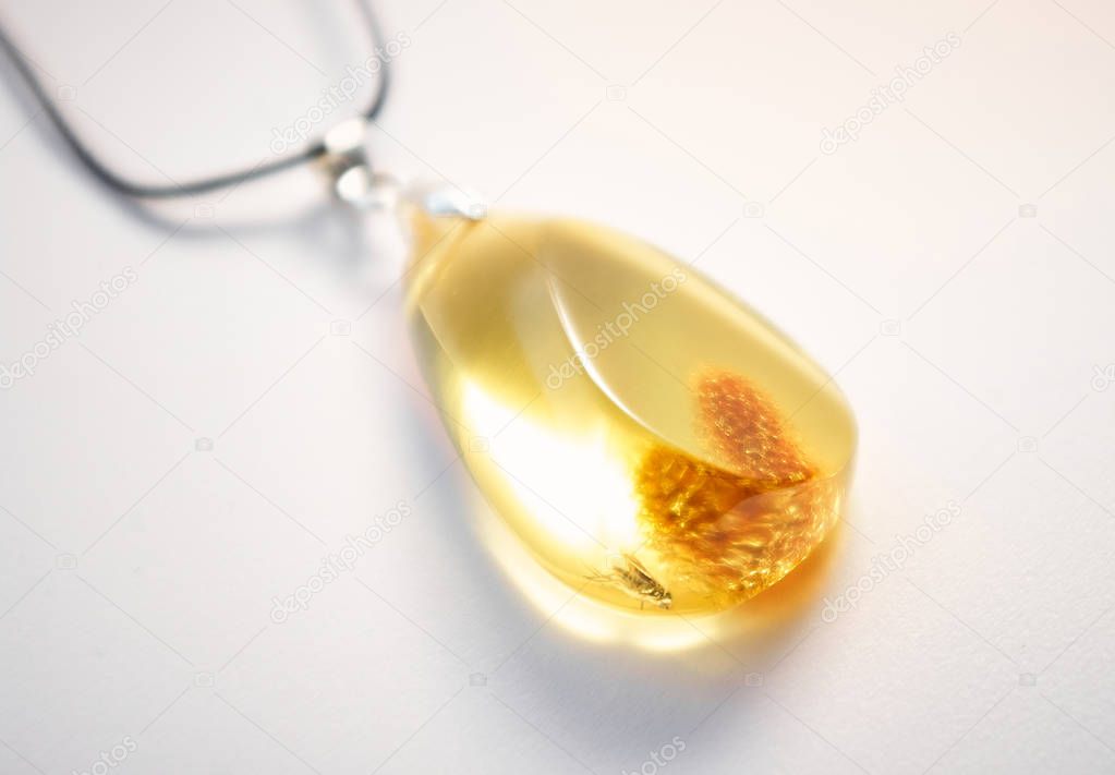 Amber pendant with inclusion