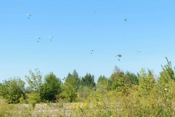 Paracaidistas descienden a la tierra sobre el fondo azul claro del cielo —  Fotos de Stock