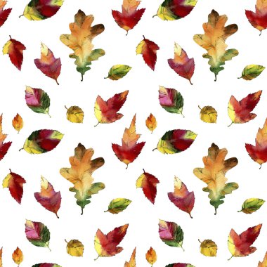  Suluboya sonbahar yaprakları. Seamless modeli.