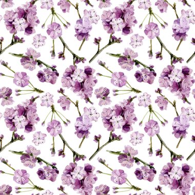 Sakura çiçekler. Sulu Boya Dikişsiz desen.