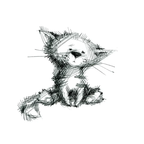 Querido gato. Dibujo a mano boceto de tinta sobre fondo blanco . — Foto de Stock