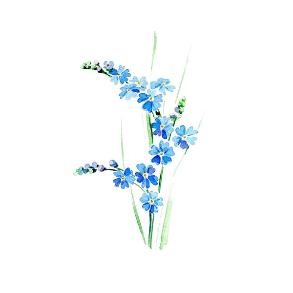 Branch vergat mij niet bloemen. Aquarel illustratie. — Stockfoto