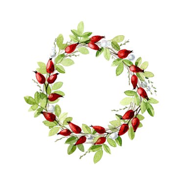 Dogrose suluboya çerçeve. Suluboya resim.