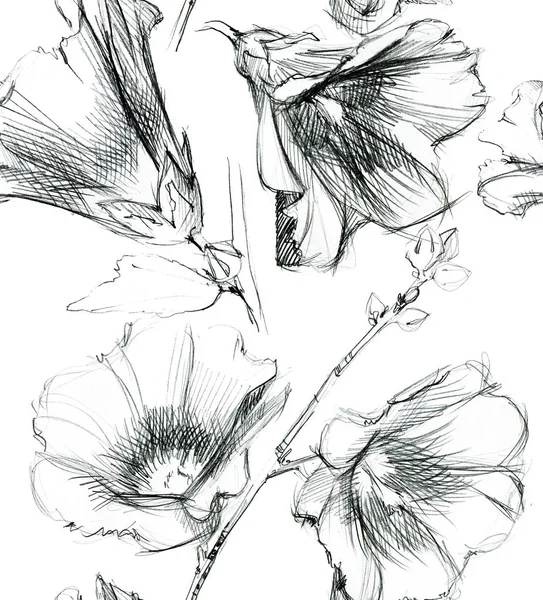 Malwy kwiaty. Ręcznie rysowane tuszem. Wzór. — Zdjęcie stockowe