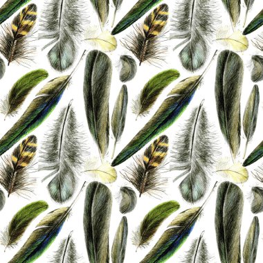 Kuş tüylerinin kusursuz deseni. Renkli kalemlerle gerçekçi bir şekilde çizilmiş..