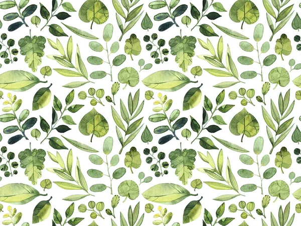 Akvarelu Vzor Bezešvé Zelené Listy Různých Rostlin Bílém Pozadí — Stock fotografie