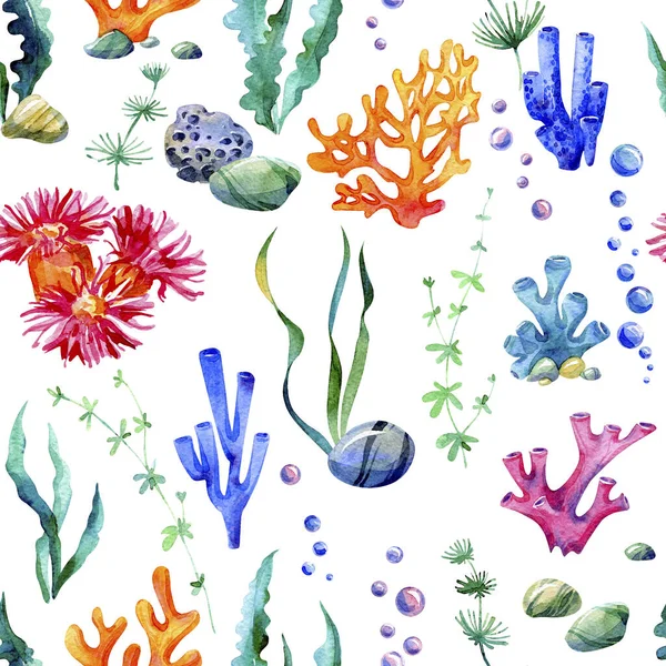 Modèle Aquarelle Sans Couture Modèle Océanique Différentes Plantes Marines Coraux — Photo