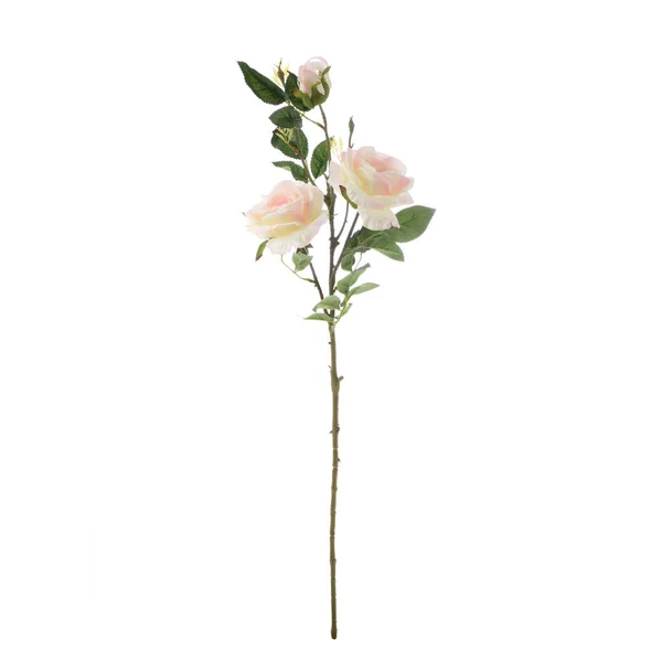 Rose Artificiali Fiori Isolati Sfondo Bianco — Foto Stock