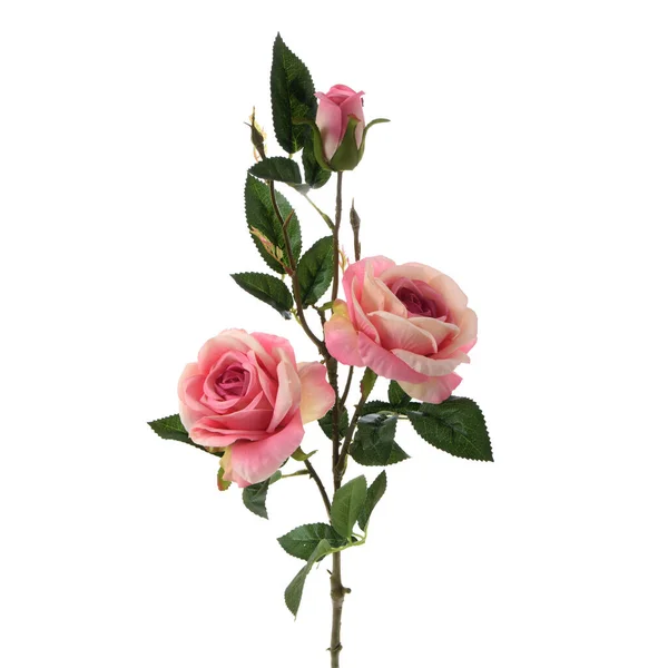 Sztuczne Róże Kwiaty Izolowane Białym Tle — Zdjęcie stockowe
