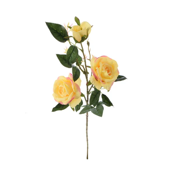 Roses Artificielles Fleurs Isolées Sur Fond Blanc — Photo