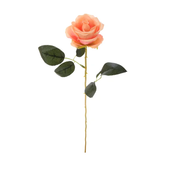 Artificial Rose Flower Isolated White Background — Stock Photo, Image