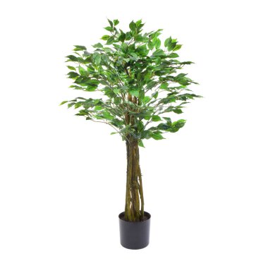 Yapay yeşil ağaç beyaz arkaplanda izole edildi 