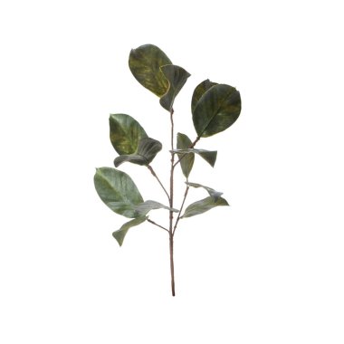 Beyaz arkaplanda yapay çiçek dalı izole edildi 