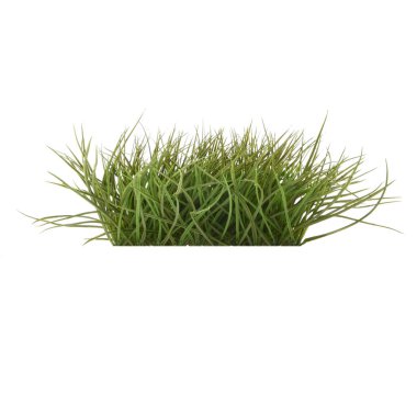 Yapay yeşil çimenler beyaz arkaplanda izole edildi 