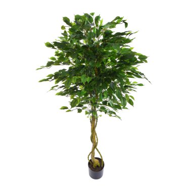 Yapay yeşil ağaç beyaz arkaplanda izole edildi 