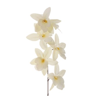 Beyaz arkaplanda izole edilmiş renkli yapay orkideler  