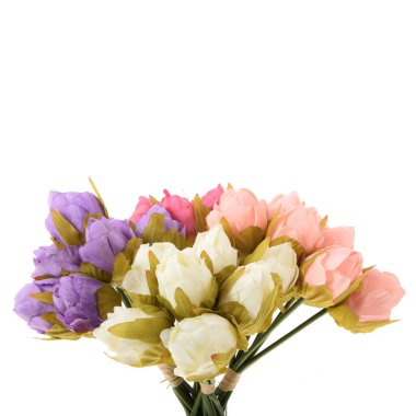 Beyaz arkaplanda izole edilmiş yapay gül çiçekleri  