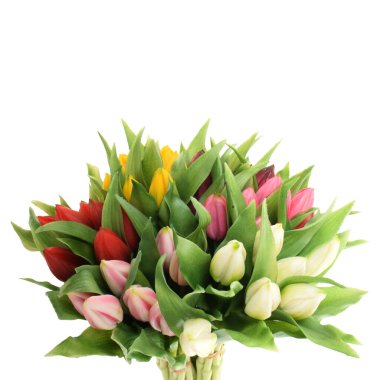 Beyaz arkaplanda izole edilmiş yapay laleler  