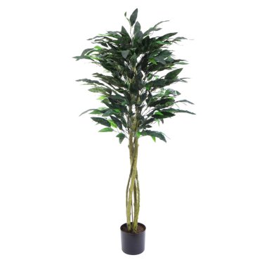 Yapay yeşil ağaç beyaz arkaplanda izole edildi 