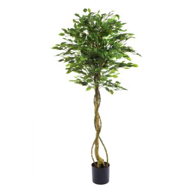 Yapay yeşil ağaç beyaz arkaplanda izole edildi 