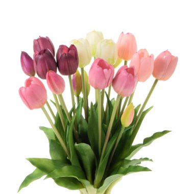 Beyaz arkaplanda izole edilmiş yapay laleler  